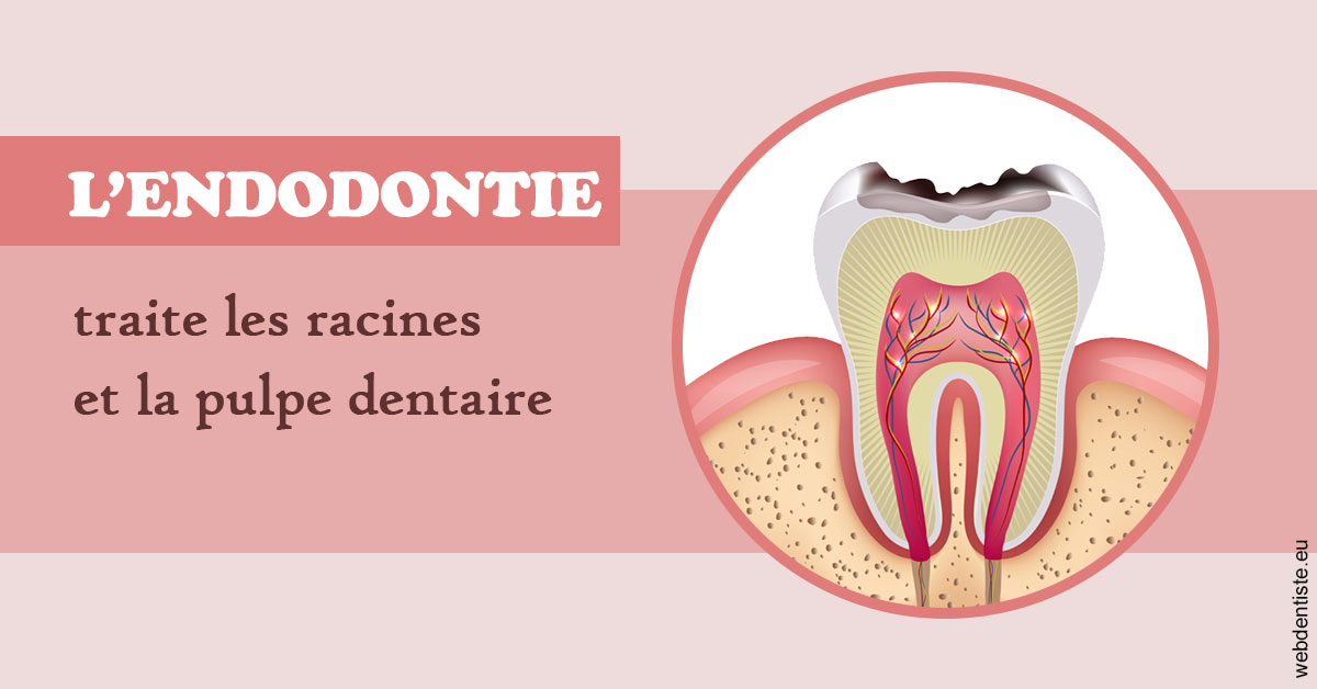 https://dr-marc-andre-benguigui.chirurgiens-dentistes.fr/L'endodontie 2