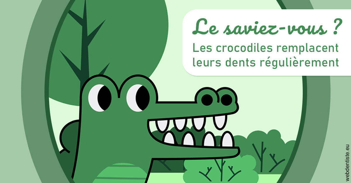 https://dr-marc-andre-benguigui.chirurgiens-dentistes.fr/Crocodiles 2